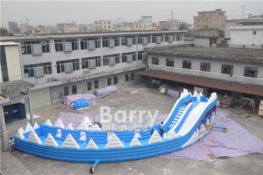 अनुकूलित सील टूथ Inflatable पर्ची एन स्लाइड ग्रीष्मकालीन उड़ा पानी स्लाइड