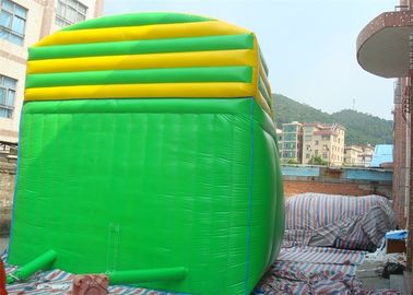 वयस्कों के लिए मछली डबल चढ़ाई सीढ़ी वाणिज्यिक Inflatable स्लाइड